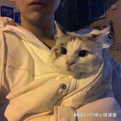 大清官场手机下载